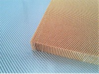 Nomex aramid honeycomb Thickness 30 mm Cell size 3.2 mm